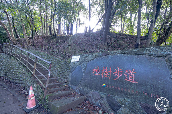 ▲▼台北賞花景點，貓空魯冰花海秘境。（圖／部落客桃桃提供）