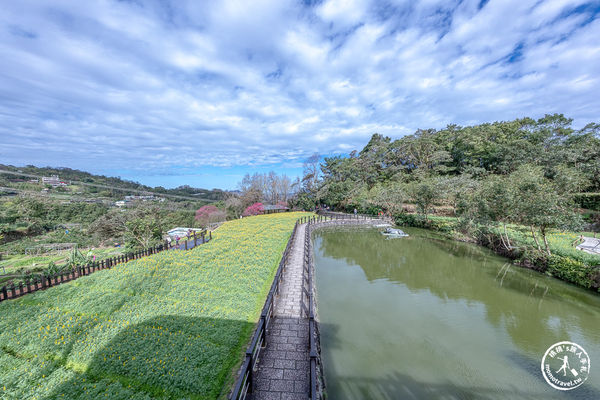 ▲▼台北賞花景點，貓空魯冰花海秘境。（圖／部落客桃桃提供）