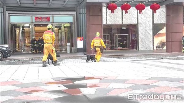 ▲警消出動搜救犬，對現場做地毯式搜救。（圖／記者白珈陽攝）