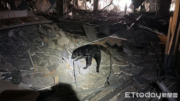 ▲▼ 台中新光三越搜救犬            。（圖／記者白珈陽翻攝）
