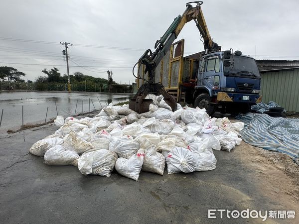 ▲二林鎮1處鵪鶉場感染禽流感防疫人員前往撲殺並消毒。（圖／彰化動防所提供，以下同）