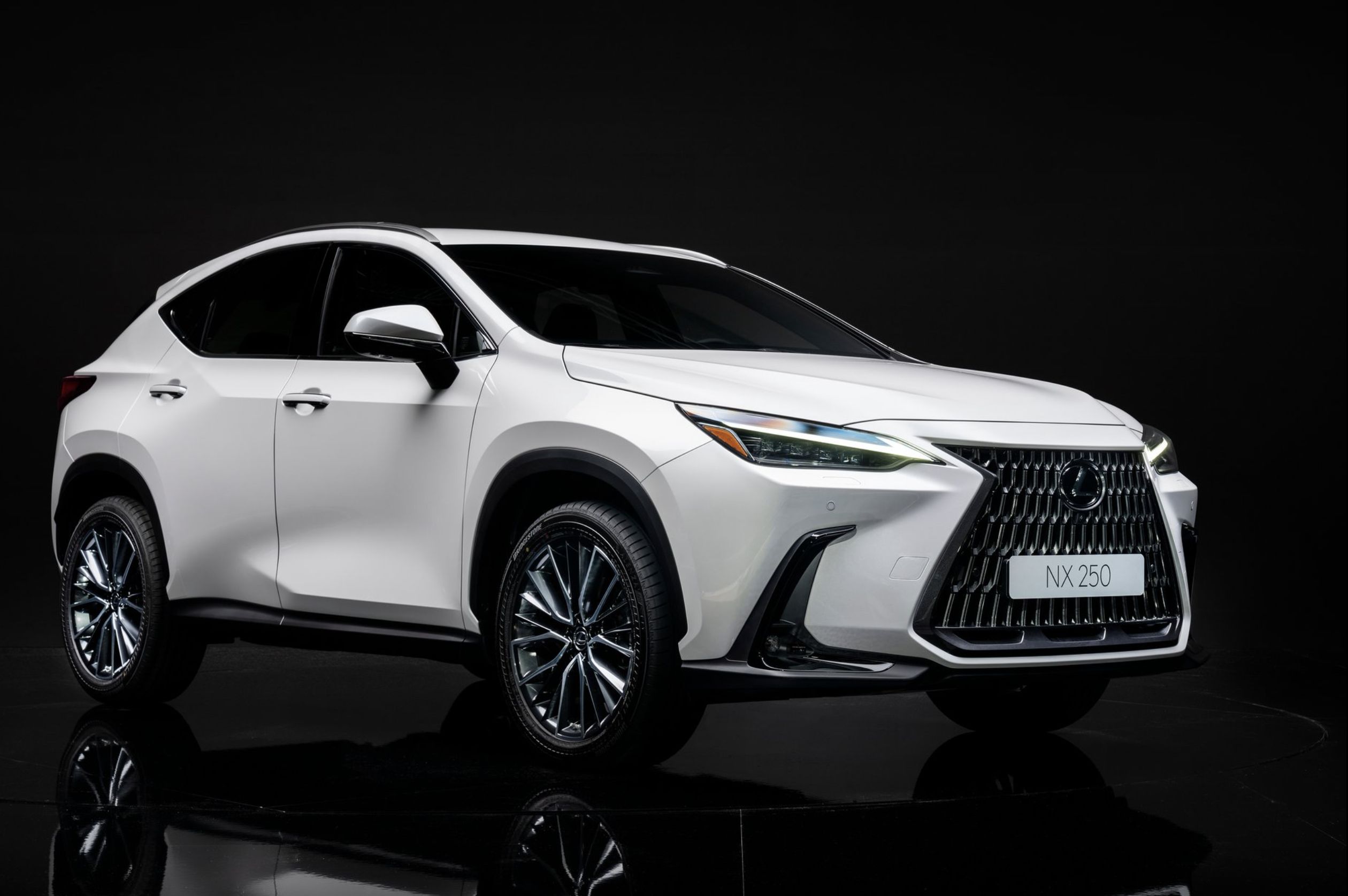 ▲Lexus NX250宣告6月停產。（圖／翻攝自Lexus）