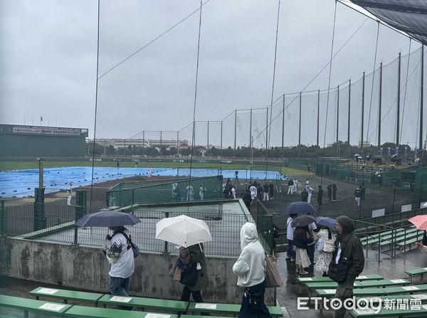 ▲石垣市營球場下雨。（圖／記者陳立勳攝）