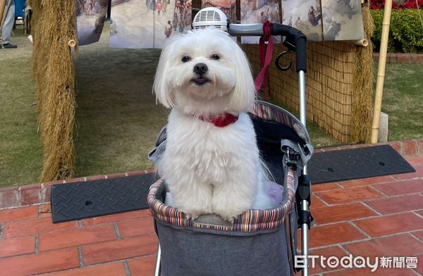 ▲台南市寵物友善系列活動熱烈開跑，2月17日起至4月6日止舉行「寵物友善入園抽好禮」活動，赤嵌樓等6個場館景點均參與活動。（圖／記者林東良翻攝，下同）
