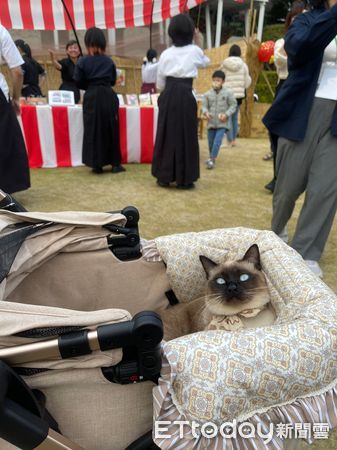 ▲台南市寵物友善系列活動熱烈開跑，2月17日起至4月6日止舉行「寵物友善入園抽好禮」活動，赤嵌樓等6個場館景點均參與活動。（圖／記者林東良翻攝，下同）