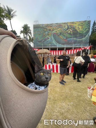 ▲台南市寵物友善系列活動熱烈開跑，2月17日起至4月6日止舉行「寵物友善入園抽好禮」活動，赤嵌樓等6個場館景點均參與活動。（圖／記者林東良翻攝，下同）