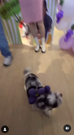 ▲▼晏柔中。（圖／翻攝自Instagram／crystalyen418）