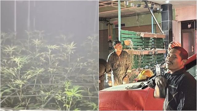▲▼        大麻園火警！附近居民集體茫掉　「瘋狂傻笑」停不了     。（圖／翻攝khaosod.com）