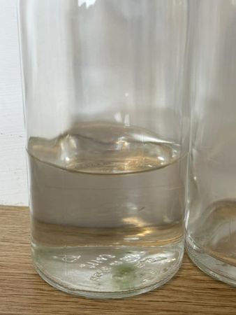 ▲台南一間民宿被網友投訴提供的瓶裝水內，竟疑似長出「青苔」，網友喝到快見底才發現，感到「超噁心！」。（翻攝自好想住飯店⭕好康.踩雷不藏私臉書粉專）