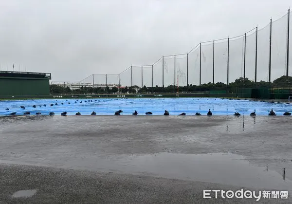 ▲石垣市營球場雨勢不斷延賽。（圖／記者陳立勳攝）