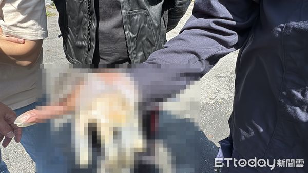 ▲▼     高雄碎屍案打撈第10天，警方出動水下攝影機進行搜索，今再發現人體組織        。（圖／記者吳世龍攝）