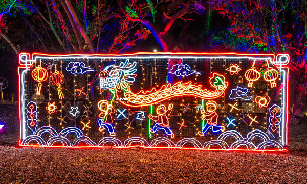 ▲2025台灣燈會城市聚光燈5D互動多元燈飾匯集