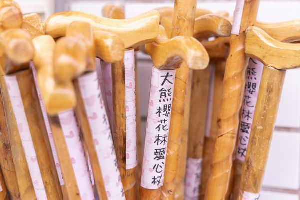 ▲▼三峽大熊櫻花林，4000顆櫻花齊放的櫻花隧道，在隧道中還可以細細品味浪漫的粉紅雨。（圖／部落客黑皮授權提供）