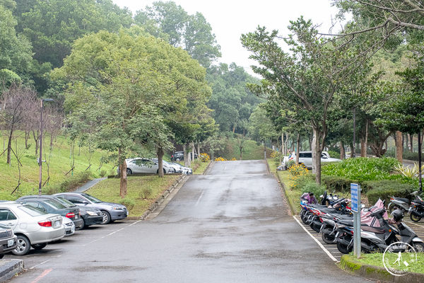 ▲▼長庚養生文化村櫻花步道。（圖／部落客桃桃授權提供）