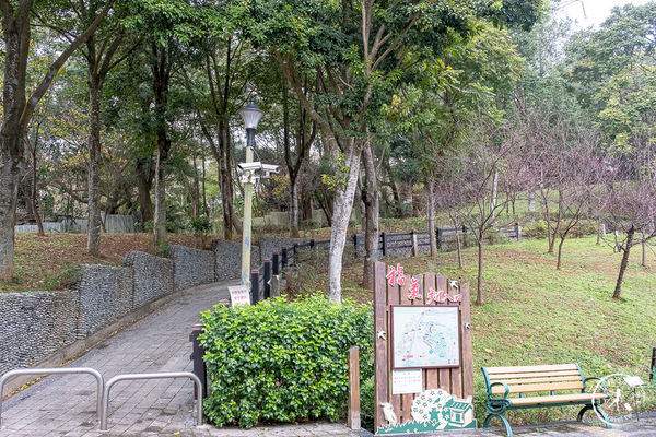 ▲▼長庚養生文化村櫻花步道。（圖／部落客桃桃授權提供）