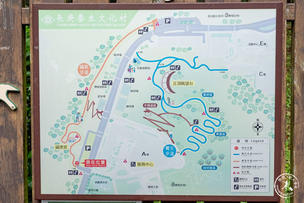 ▲▼長庚養生文化村櫻花步道。（圖／部落客桃桃授權提供）