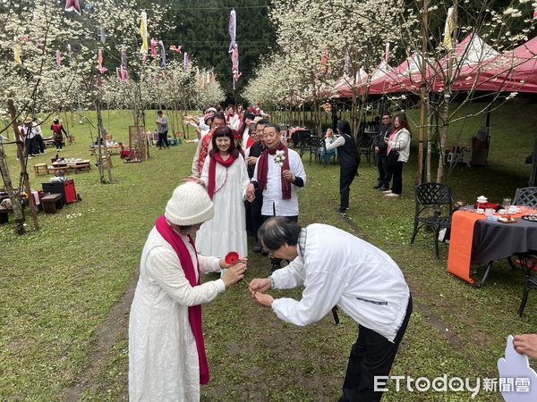 ▲九族櫻花祭第一場茶會，在俗稱「白色戀人」的台灣雪櫻櫻花林舉行。（圖／九族文化村提供）
