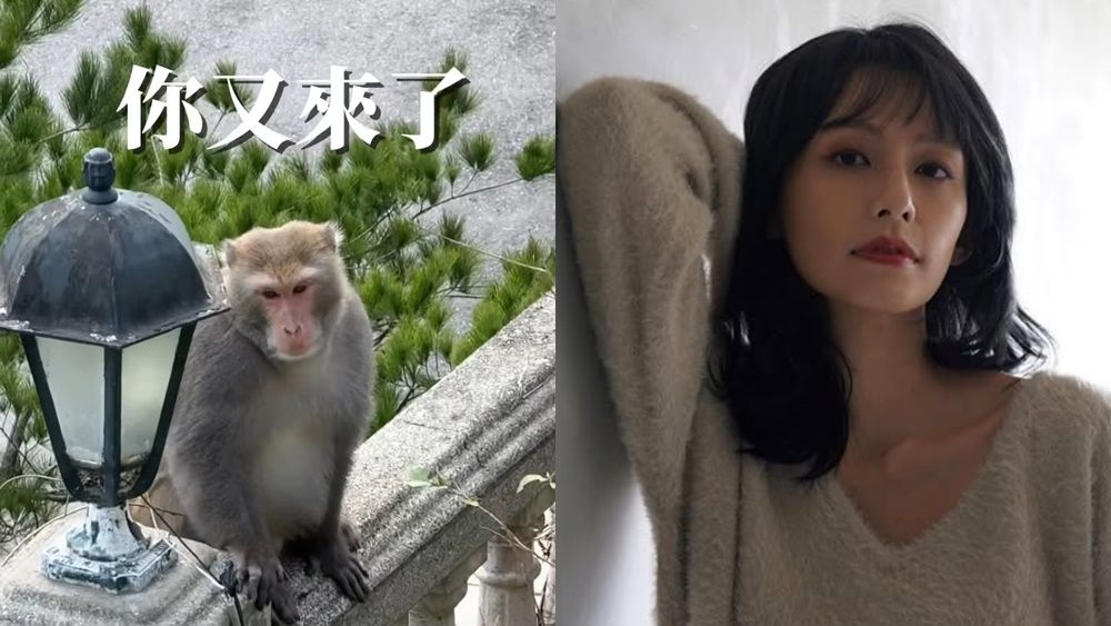 ▲▼袁艾菲。（圖／翻攝自Instagram／yuanlovefly）