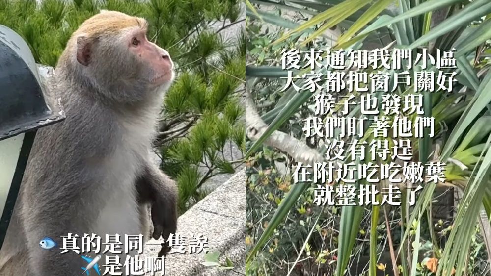 ▲▼袁艾菲。（圖／翻攝自Instagram／yuanlovefly）