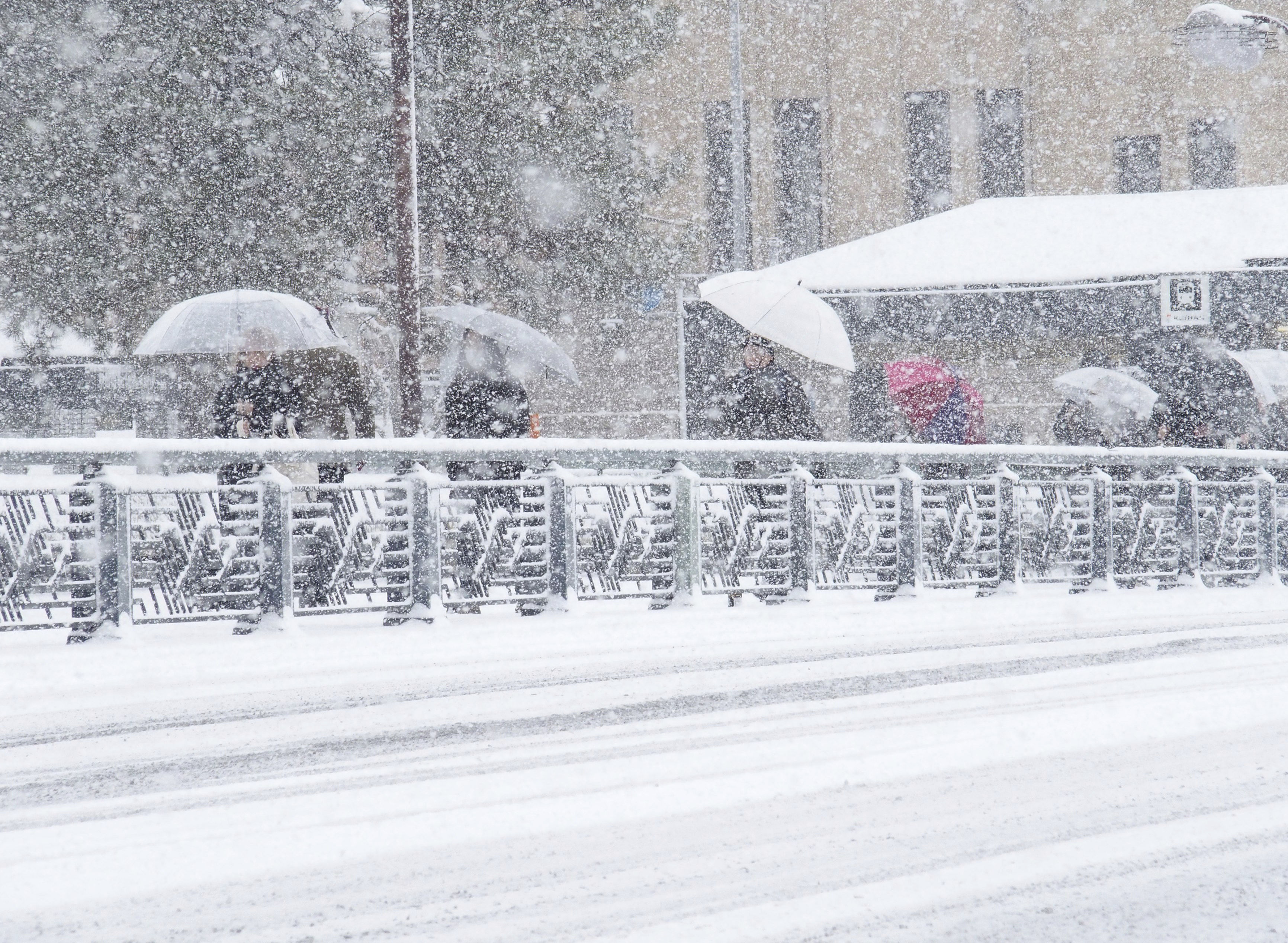 ▲▼ 日本2月初降大雪。（圖／達志影像／美聯社）