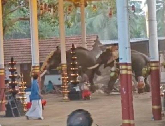 ▲▼印度2頭大象被煙火嚇到後發狂攻擊，導致3死30傷。（圖／翻攝自X）