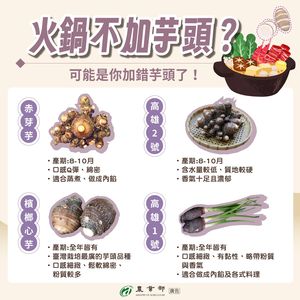 火鍋加芋頭是邪教？農業部激推4品種：你加錯了