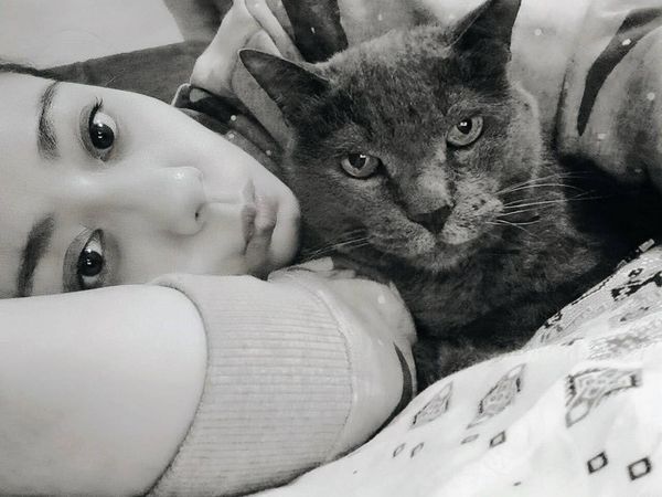 ▲高慧君養了22年的愛貓離世。（圖／光意娛樂提供）