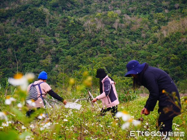 ▲▼布農豆豆屋災後重建後辦理落成祈福儀式並啟用。（圖／花蓮分署提供，下同）