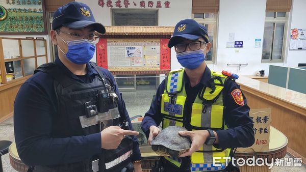 ▲警員夜巡路中遇班龜拾起護交安。（圖／記者楊漢聲翻攝）