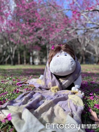 ▲奧萬大「移印染工作坊」開放報名。（圖／林業保育署南投分署提供）