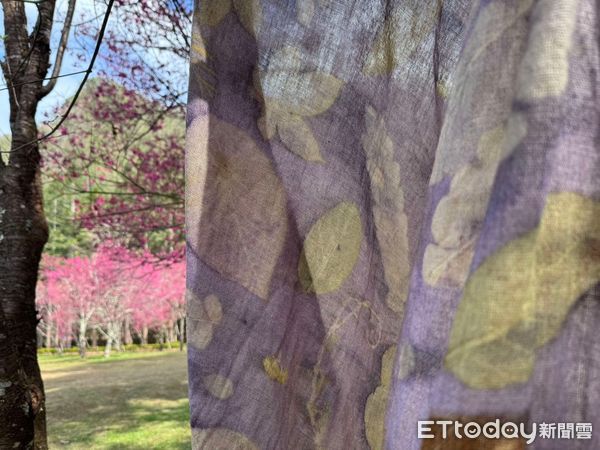 ▲奧萬大「移印染工作坊」開放報名。（圖／林業保育署南投分署提供）