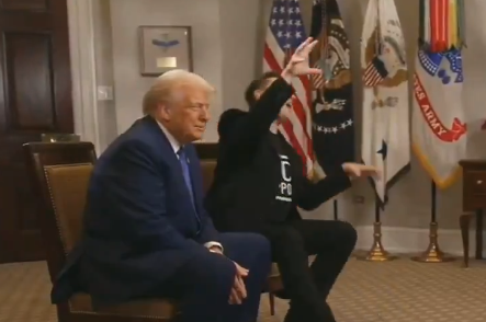 ▲▼ 馬斯克酸「川普精神錯亂症」是狂犬病！。（圖／翻攝自x）