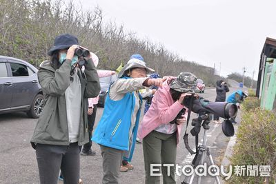 鸕鷀大軍壓境鰲鼓濕地　林業保育署生態展覽館探討生態奧妙