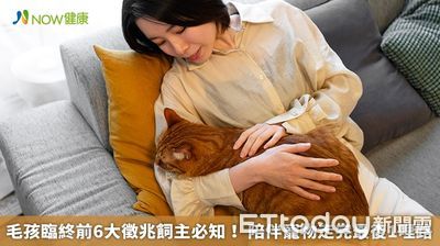 毛孩最後的溫柔… 看懂「6大臨終跡象」珍惜最後時光
