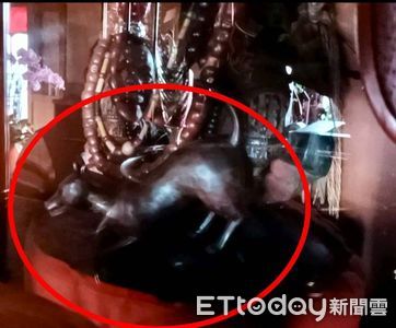 東螺媽遭埋硃砂人骨!信徒讚番老太祖顯神蹟 派隨從黑狗狂吠