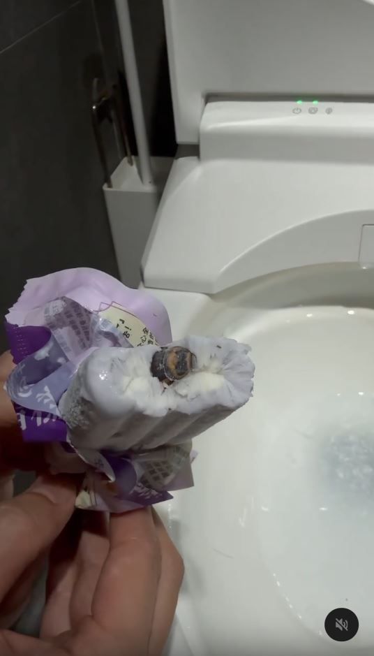 冰棒裡有蟑螂。（圖／網友原PO授權提供）