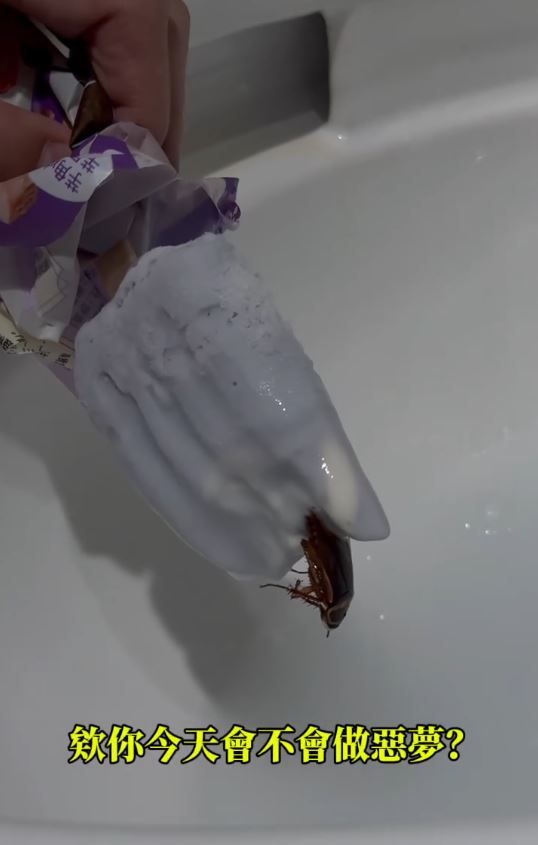 冰棒裡有蟑螂。（圖／網友原PO授權提供）