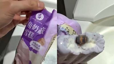 「蟑螂冰棒」製造廠商在台中! 食安處回應了:已錄案將前往稽查