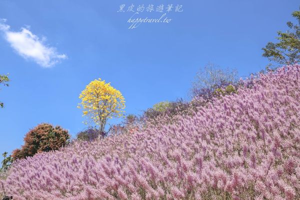 ▲▼走進純樸的鄉鎮，感受大自然的洗禮。季節限定【瑰蜜甜心玫瑰園】開放囉。（圖／部落客黑皮授權提供）