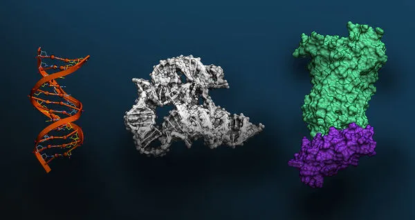 ▲輝達的 Evo 2 是一種強大的新型 AI 模型，使用亞馬遜網路服務 (AWS) 上的 NVIDIA DGX Cloud 構建，可洞察不同物種的 DNA、RNA 和蛋白質。（圖／取自輝達網頁）