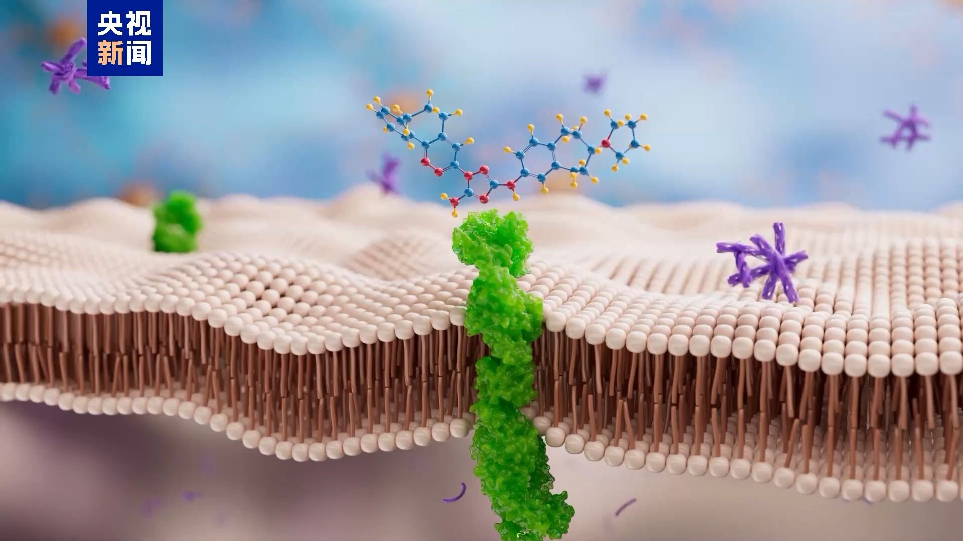 ▲陸團隊發現治療帕金森氏症新靶點。（圖／翻攝央視）