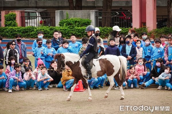 ▲讓「馬兒」走進校園！延平國小打造台北創舉　豐富孩子生命教育體驗。（圖／記者陳弘修翻攝）