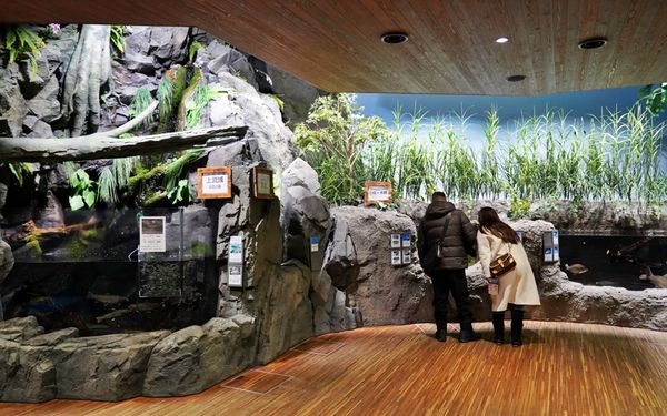 ▲▼鶴岡市立加茂水族館。（圖／部落客Mika出走美食日誌授權提供）
