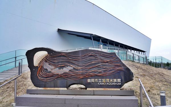 ▲▼鶴岡市立加茂水族館。（圖／部落客Mika出走美食日誌授權提供）