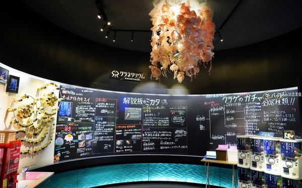 ▲▼鶴岡市立加茂水族館。（圖／部落客Mika出走美食日誌授權提供）