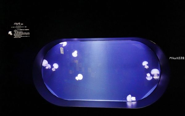▲▼鶴岡市立加茂水族館。（圖／部落客Mika出走美食日誌授權提供）