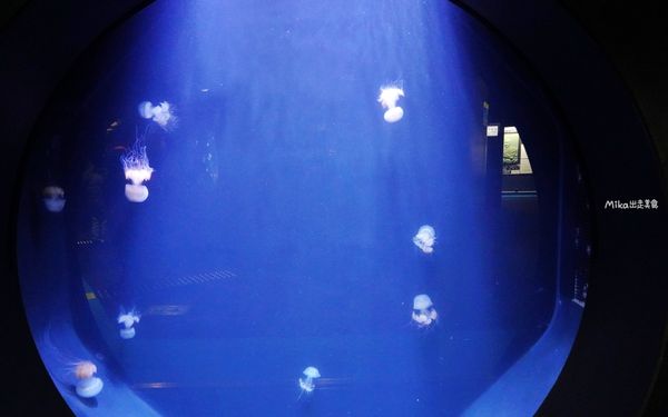▲▼鶴岡市立加茂水族館。（圖／部落客Mika出走美食日誌授權提供）