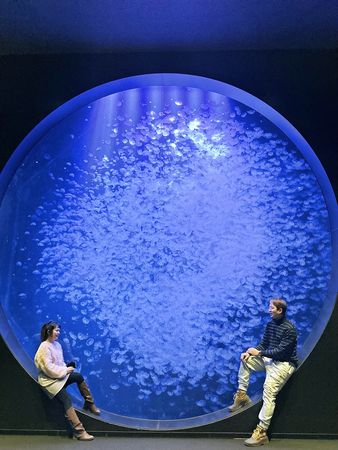 ▲▼鶴岡市立加茂水族館。（圖／部落客Mika出走美食日誌授權提供）