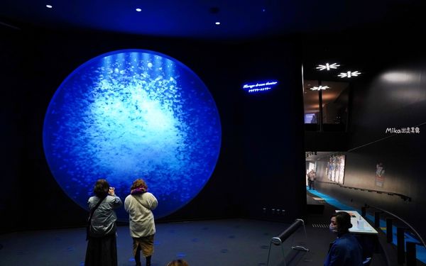 ▲▼鶴岡市立加茂水族館。（圖／部落客Mika出走美食日誌授權提供）