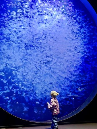 ▲▼鶴岡市立加茂水族館。（圖／部落客Mika出走美食日誌授權提供）